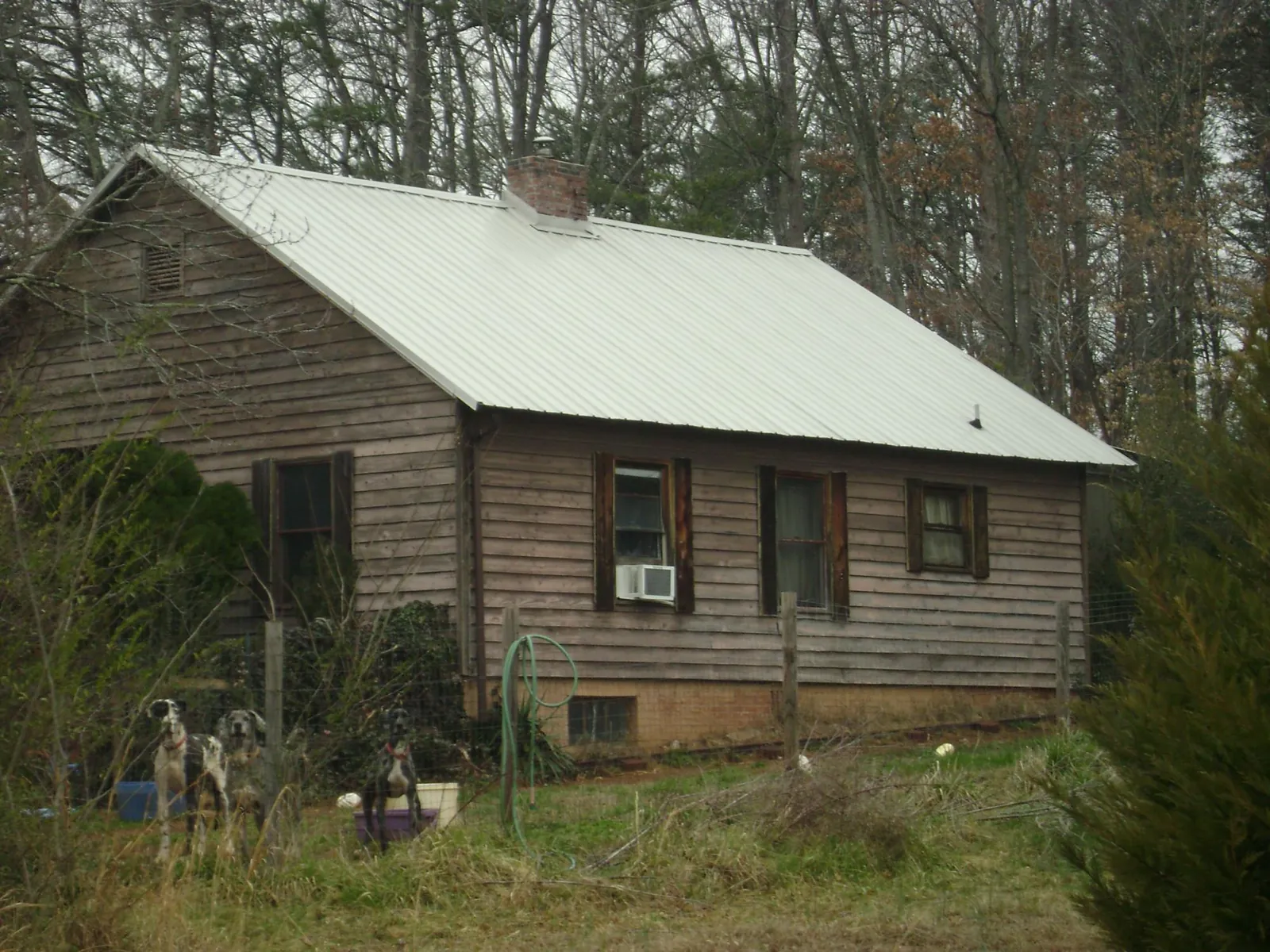 White metal roof on an old wood sided farmhouse, from a Asphalt Shingle Roof Repair job in Pheba
